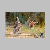 2025_03_01_OPEL_Zoo_IMG_5939.jpg